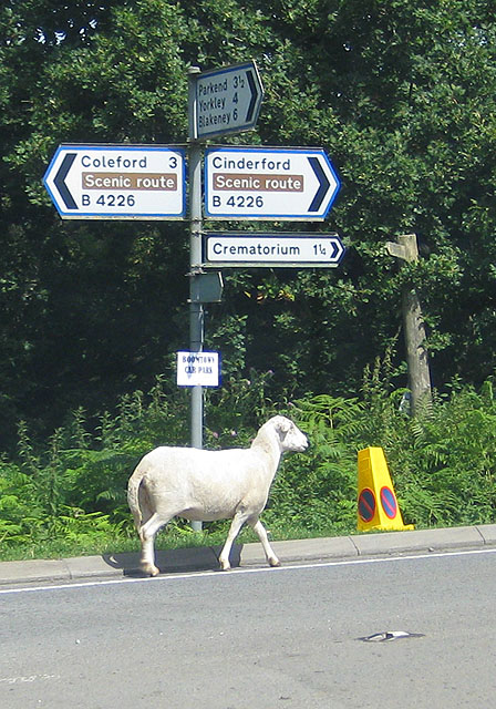 Pauline Eccles, CC BY-SA 2.0 , via Wikimedia Commons