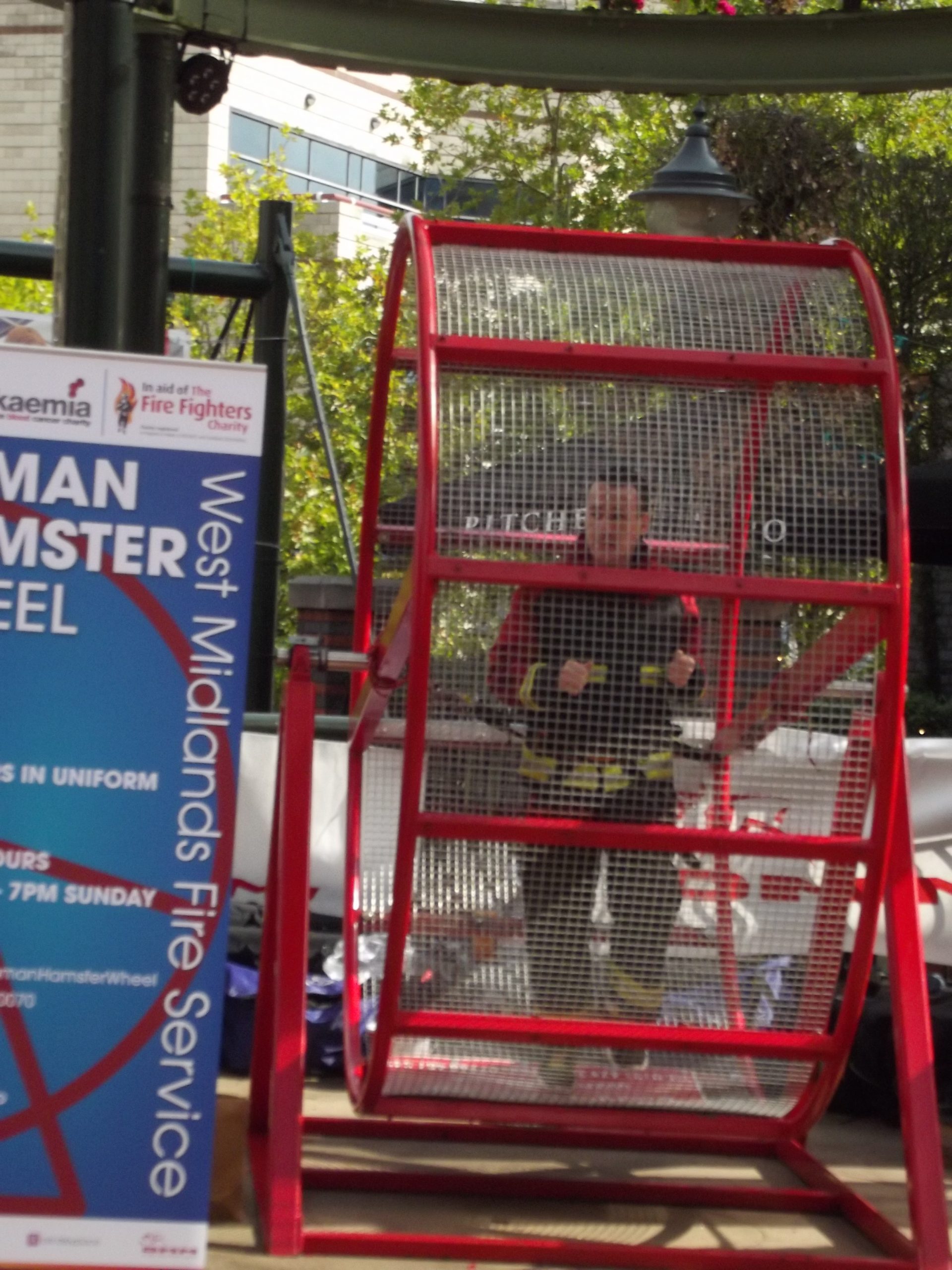 A human in the loop